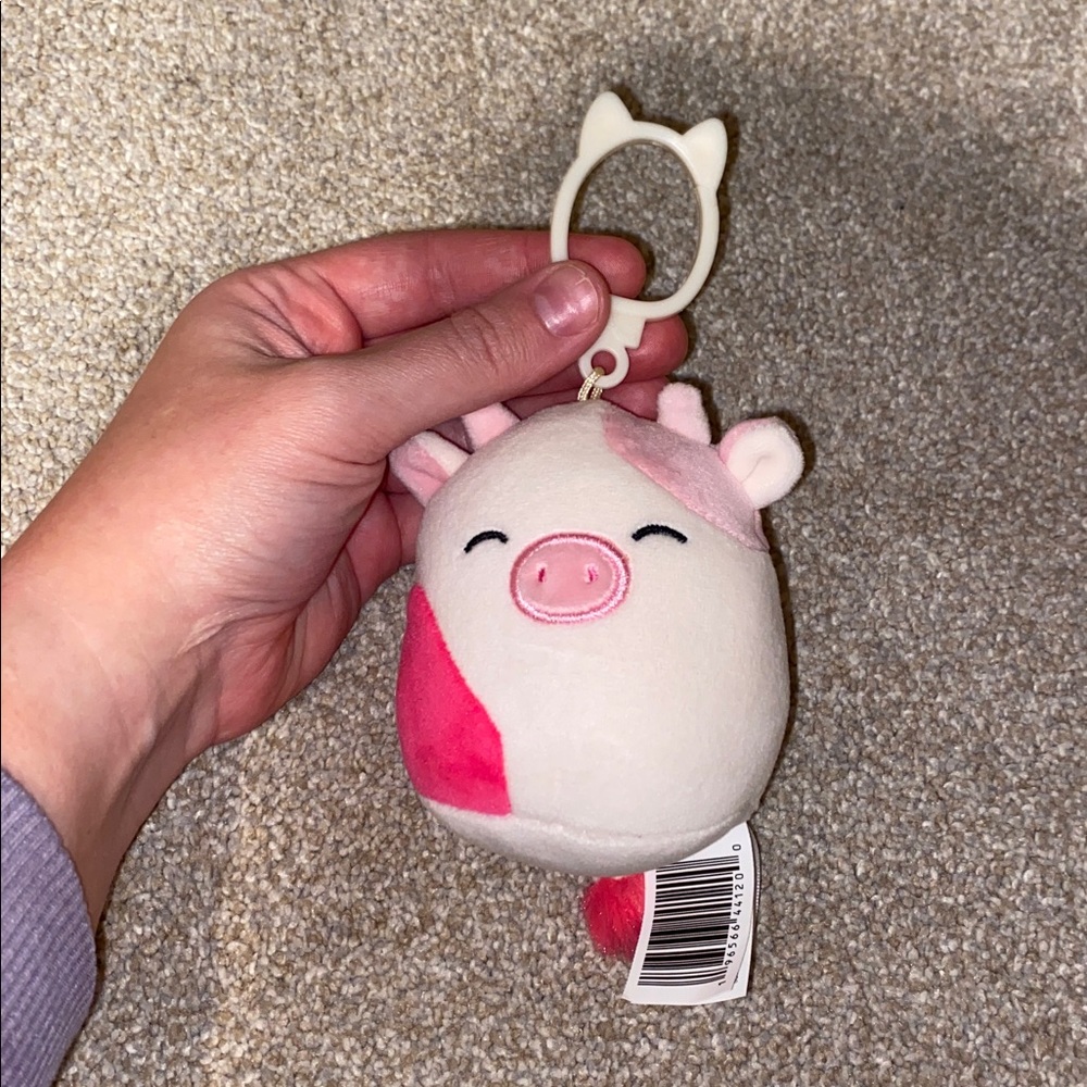 NWT Caedyn Winking 3” Clip Squishmallow